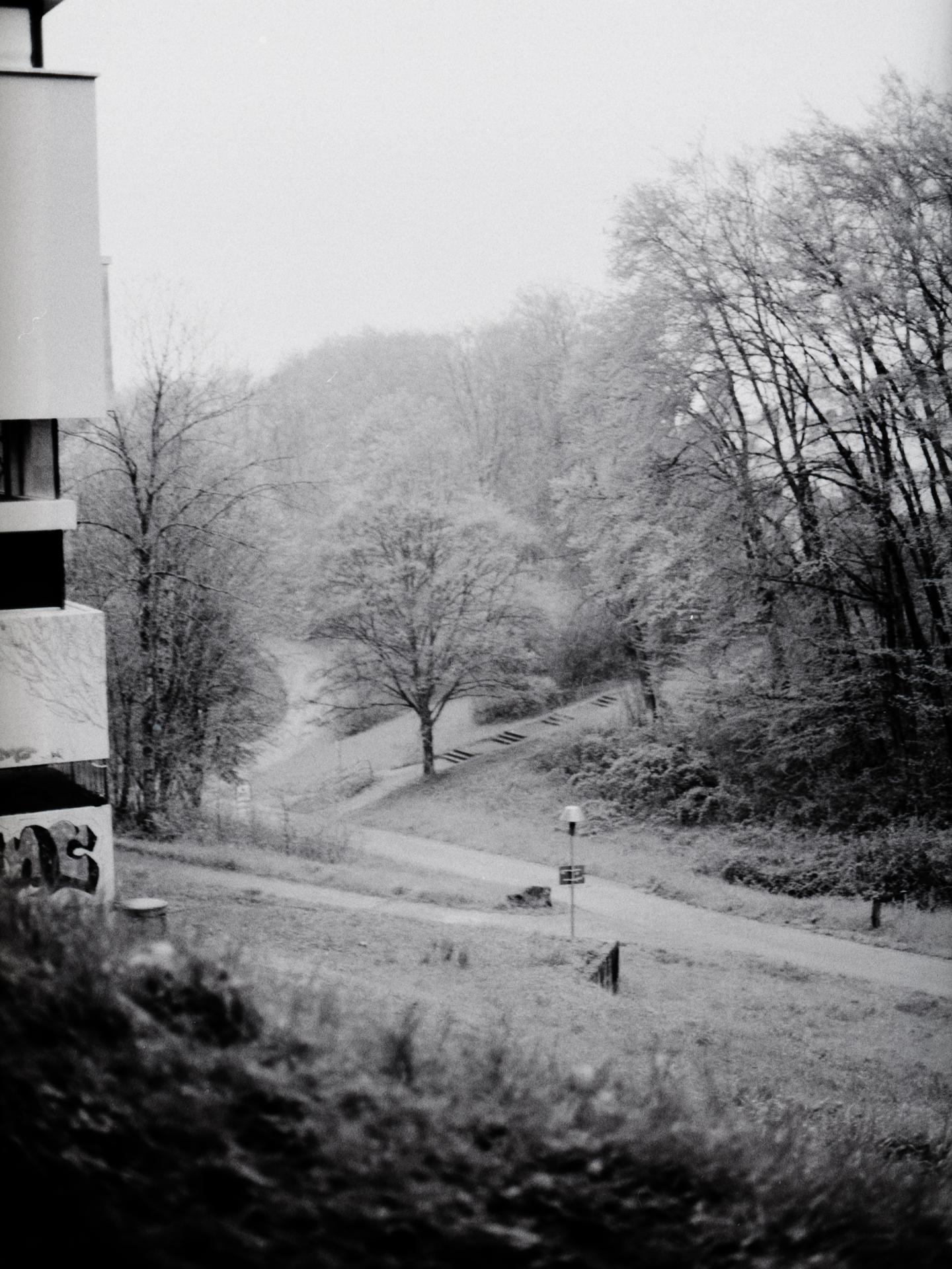 Thumbnail /2023 Comps/blown out infrared.jpg